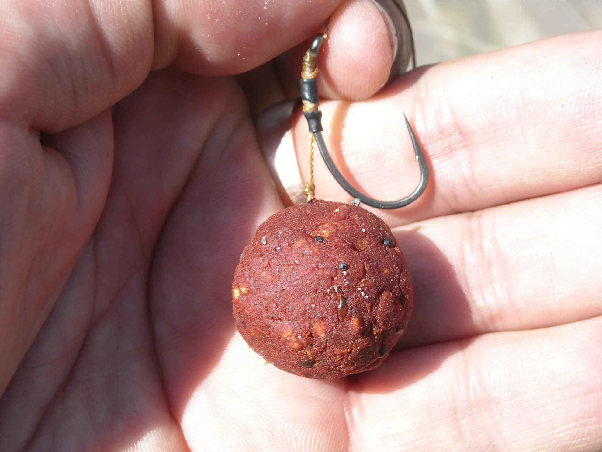 CN-2010-Chiroiu - dscn45681.jpg